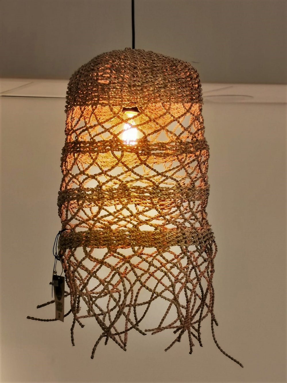 Jellyfish kattovalaisin natur